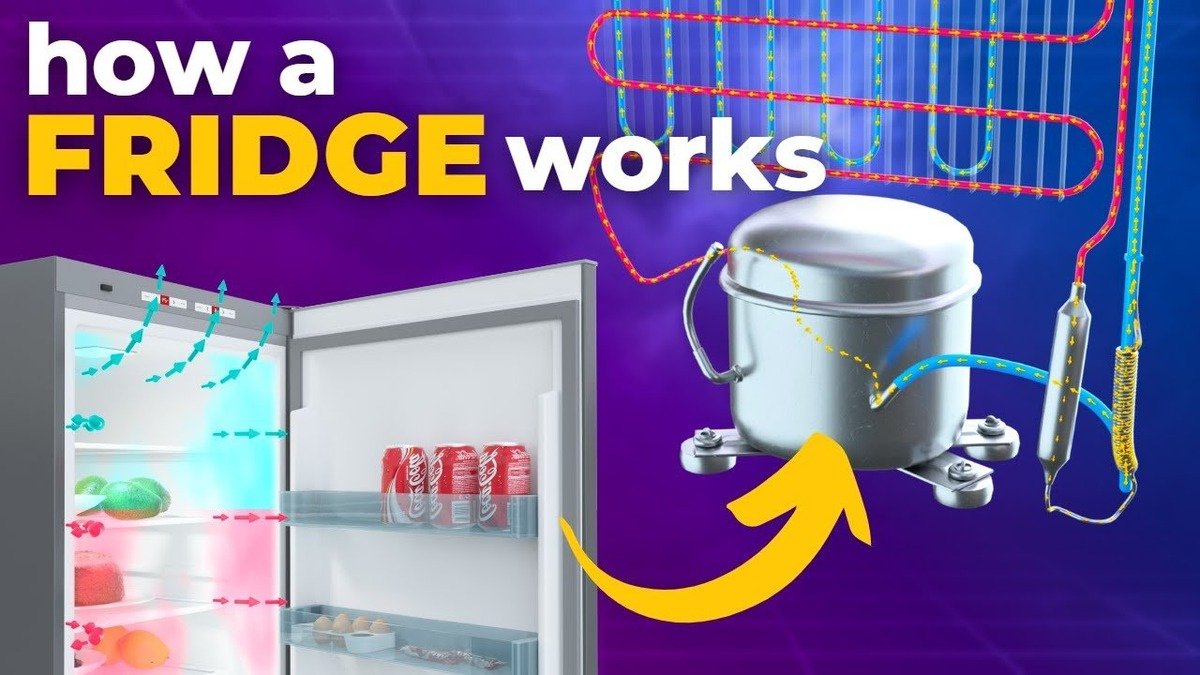 Refrigerator Parts and Cooling Cycle: How It Works